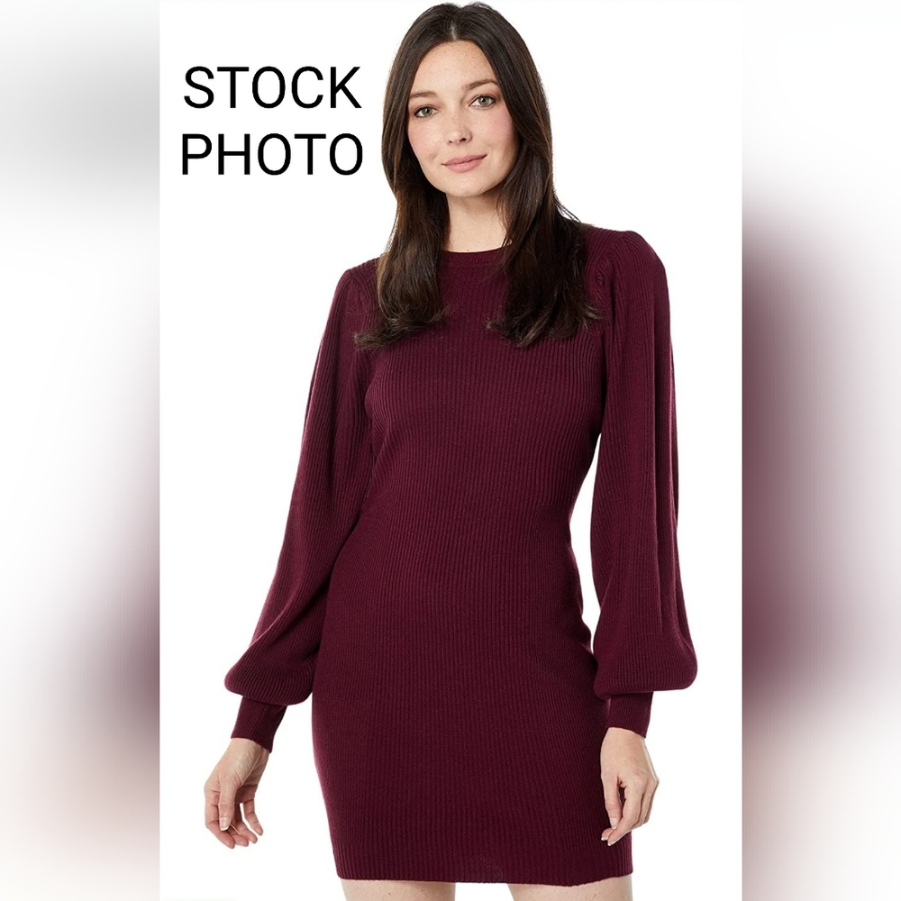 Bishop + Young KYLA sweater dress NEW Small